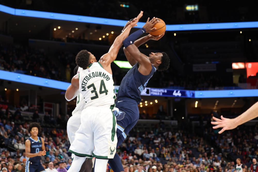 的肯尼亚公 的肯尼亚公